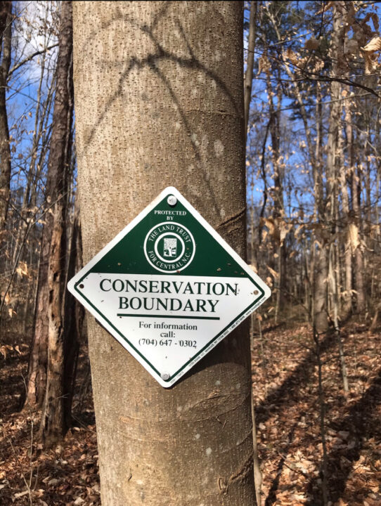 Conservation Boundary Sign on tree Conservation Boundary Sign on tree